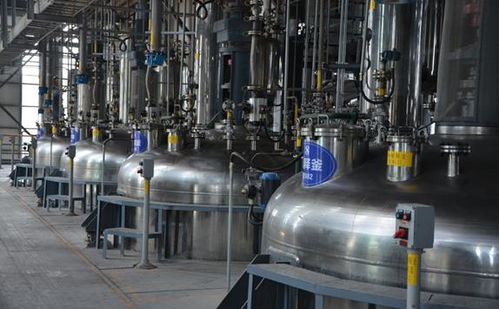 山東凱威爾精益運(yùn)營(yíng)管理體系KPS II期圓滿結(jié)案 投資咨詢(xún)視角下的卓越轉(zhuǎn)型